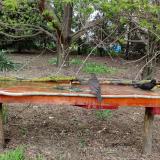 photo 2021-04-17 16-49-36