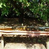 photo 2021-10-02 12-40-21