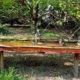 photo 2021-04-27 16-36-39