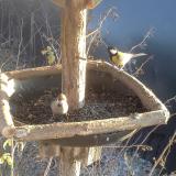 photo 2019-12-30 14-23-11