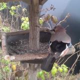 photo 2019-12-12 11-22-31