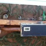 photo 2021-03-01 09-00-07