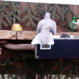 photo 2021-02-06 07-15-30