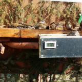 photo 2021-03-02 12-18-00