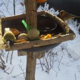 photo 2019-01-26 09-20-03