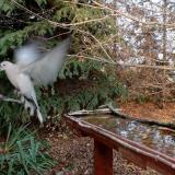 photo 2021-11-14 14-24-09