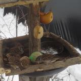 photo 2019-01-27 13-19-07