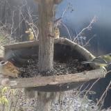 photo 2019-12-31 11-43-05