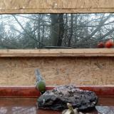 photo 2022-01-31 10-22-58