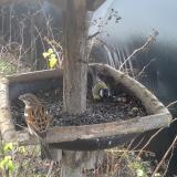 photo 2019-12-25 09-27-08