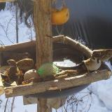 photo 2019-01-27 09-54-02