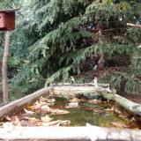 photo 2023-10-07 13-39-05