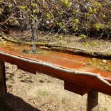 photo 2021-04-09 11-21-47