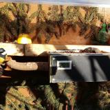 photo 2021-02-04 14-45-53