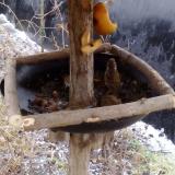 photo 2019-02-05 09-17-00