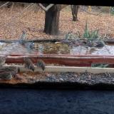 photo 2021-11-08 14-19-53