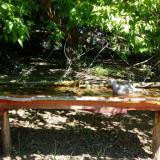 photo 2021-05-10 10-31-51