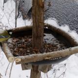 photo 2019-01-08 13-14-16