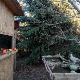 photo 2021-12-21 14-43-50