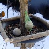 photo 2019-01-11 12-51-55