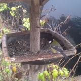 photo 2019-12-14 09-36-59