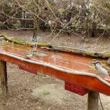 photo 2021-03-31 12-02-53