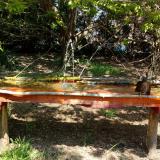 photo 2021-04-24 12-21-08