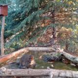 photo 2023-10-14 08-00-56