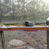 photo 2021-03-13 06-49-42