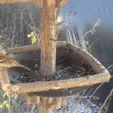 photo 2019-12-26 13-10-57