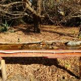 photo 2021-10-26 10-22-16