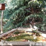 photo 2023-10-04 15-31-41