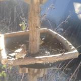 photo 2019-12-28 09-57-56