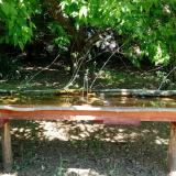 photo 2021-05-10 12-23-23