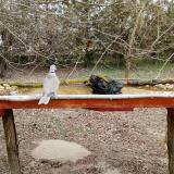 photo 2021-03-11 15-05-53