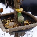 photo 2019-01-13 09-35-44