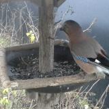 photo 2019-12-26 07-53-18