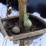 photo 2019-01-11 13-26-23