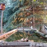 photo 2023-10-01 07-10-39