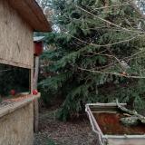 photo 2022-01-03 14-48-02