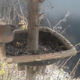 photo 2019-12-31 08-46-17