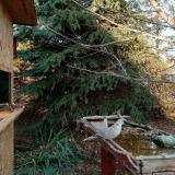 photo 2021-11-18 14-30-28