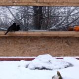 photo 2022-01-22 08-00-39