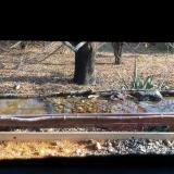 photo 2021-11-11 12-40-52