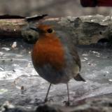 photo 2022-01-24 14-57-23 014