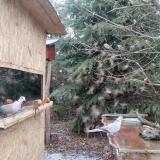 photo 2021-12-28 12-12-03