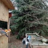 photo 2021-12-22 12-58-58