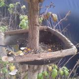 photo 2019-12-08 12-20-08