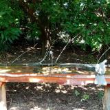 photo 2021-09-05 12-50-36