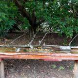 photo 2021-09-07 14-54-02